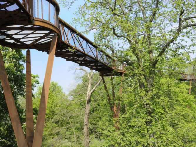 The Treetop Walkway can be found in the Arboretum and offers a unique view of Kew Gardens. – © RBG Kew