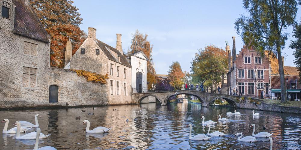 Bruges’ white swans and the Beguinage serve as a perfect spot for the most romantic photoshoots. – © Jan D'Hondt / VisitBruges