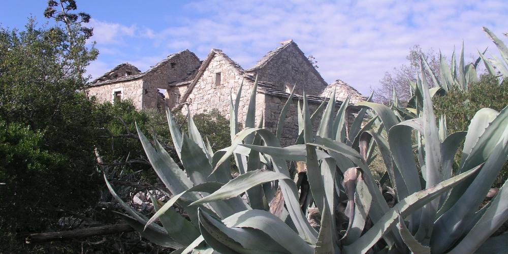 Stones from a Greek watchtower, built in the 4th century BC, were later used to construct houses at the hamlet of Maslinovik. – © Stari Grad Plain Stones from a Greek watchtower, built in the 4th century BC, were later used to construct houses at the hamlet of Maslinovik. – © Stari Grad Plain