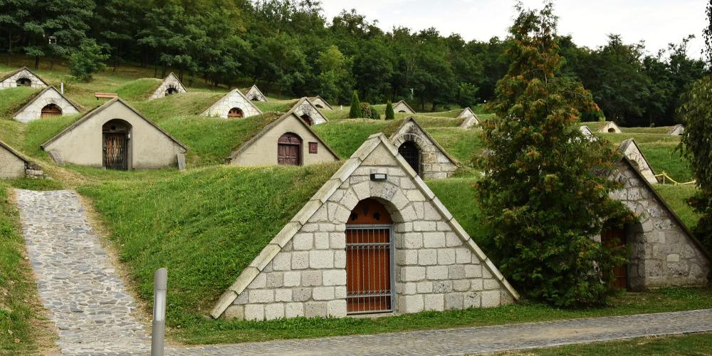 The wine cellars stand in four rows in Gomboshegy. The characteristic triangular entrance of the cellars easily recognisable from far. Here the cellars are usually two-tier, but there are three-branch basements as well. Deep down under the surface from 10 to 40 metres, the cellars form a multi-level cellar system. – © Viktor Kiss The wine cellars stand in four rows in Gomboshegy. The characteristic triangular entrance of the cellars easily recognisable from far. Here the cellars are usually two-tier, but there are three-branch basements as well. Deep down under the surface from 10 to 40 metres, the cellars form a multi-level cellar system. – © Viktor Kiss