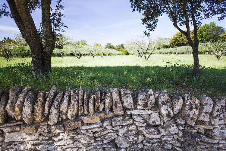 An outdoor display designed to plunge you into a journey through the history of Mediterranean agriculture. – © Aurelio Rodriguez