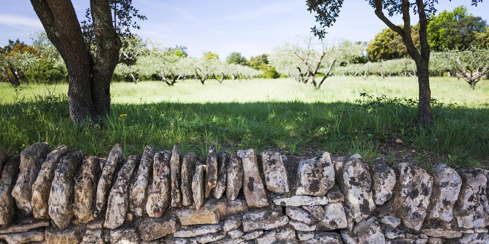 An outdoor display designed to plunge you into a journey through the history of Mediterranean agriculture. – © Aurelio Rodriguez An outdoor display designed to plunge you into a journey through the history of Mediterranean agriculture. – © Aurelio Rodriguez