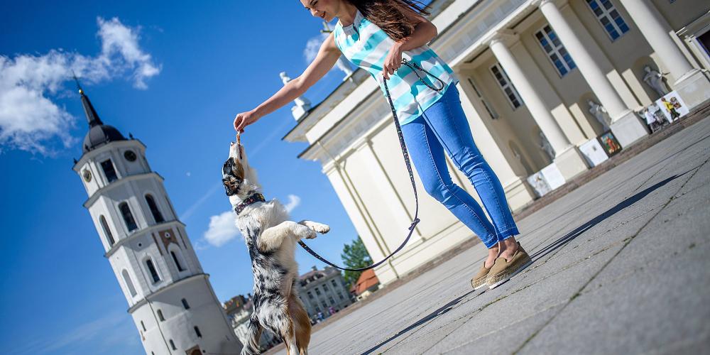 Vilnius has been considered a "tolerant city" for centuries, and continues that tradition today. – © Audrius Dzimidavicius / www.govilnius.lt