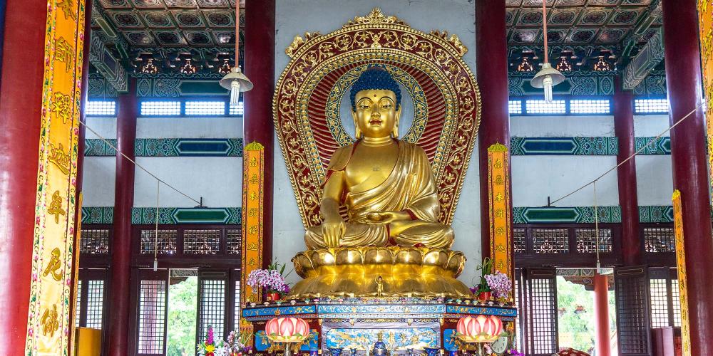 The main temple of the Chinese Monastery has a large golden statue of Buddha as its centrepiece. – © Michael Turtle
