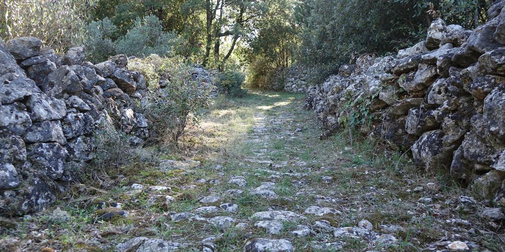 L'une des meilleures façons de découvrir la plaine de Stari Grad est à pied ou à vélo le long d'anciens chemins qui traversent les terres cultivées. – © Stari Grad Plain