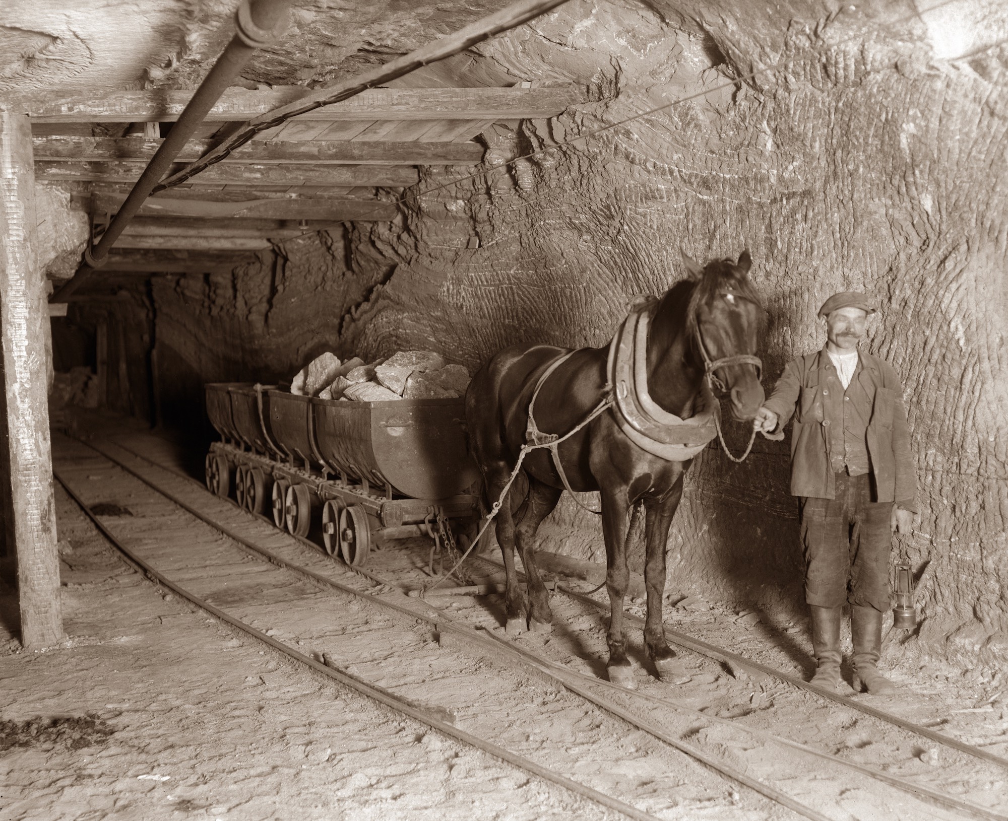 The Important Role Of Horses In The Mines World Heritage Journeys Of   5d1d466f 47b3 4e42 A2c0 2519ae10ded8 03 Minershorse1922 W Adys Awgargul 