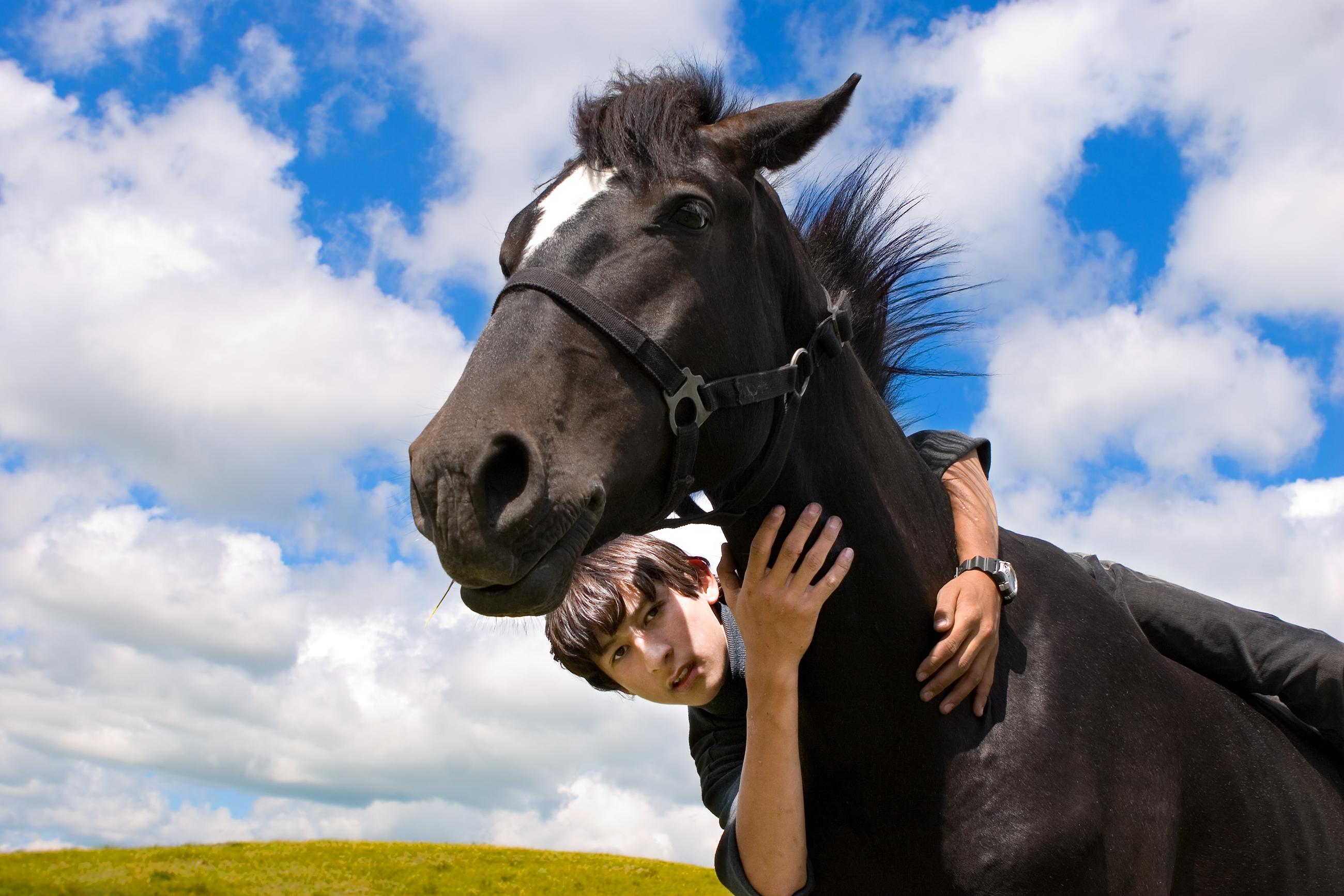 Horseback riding is an activity that many can enjoy!