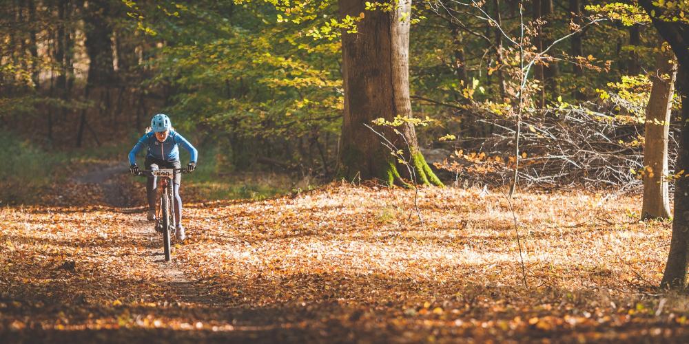 In The Great Deer Park, you can find the Blue Mountain Bike Trail, which has an ideal hilly terrain. – © Thomas Sinding / Copenhagen Originals In The Great Deer Park, you can find the Blue Mountain Bike Trail, which has an ideal hilly terrain. – © Thomas Sinding / Copenhagen Originals