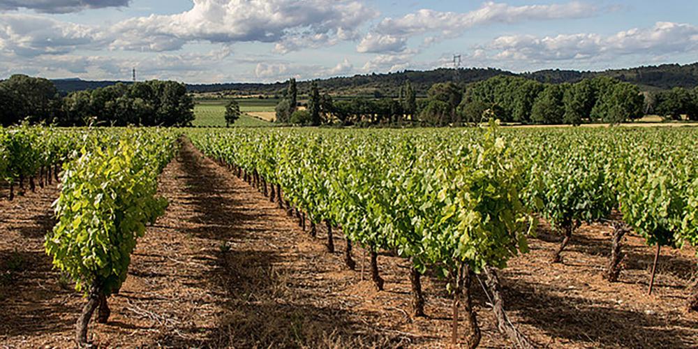 The Pont du Gard destination is part of the largest wine region in the world. Do not miss the opportunity to meet the winemakers. – © SMGG The Pont du Gard destination is part of the largest wine region in the world. Do not miss the opportunity to meet the winemakers. – © SMGG