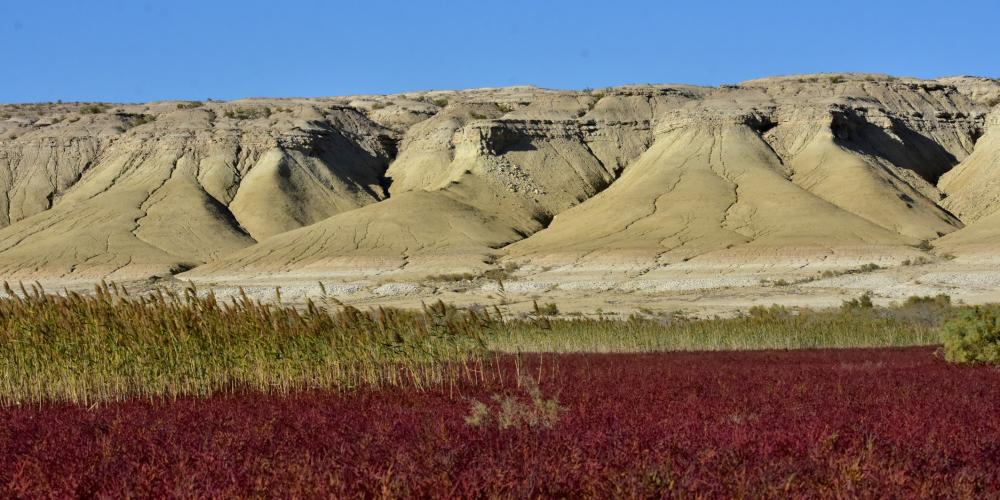 Wetlands Salicornia in front of slide rocks – © M. Gritsina Wetlands Salicornia in front of slide rocks – © M. Gritsina