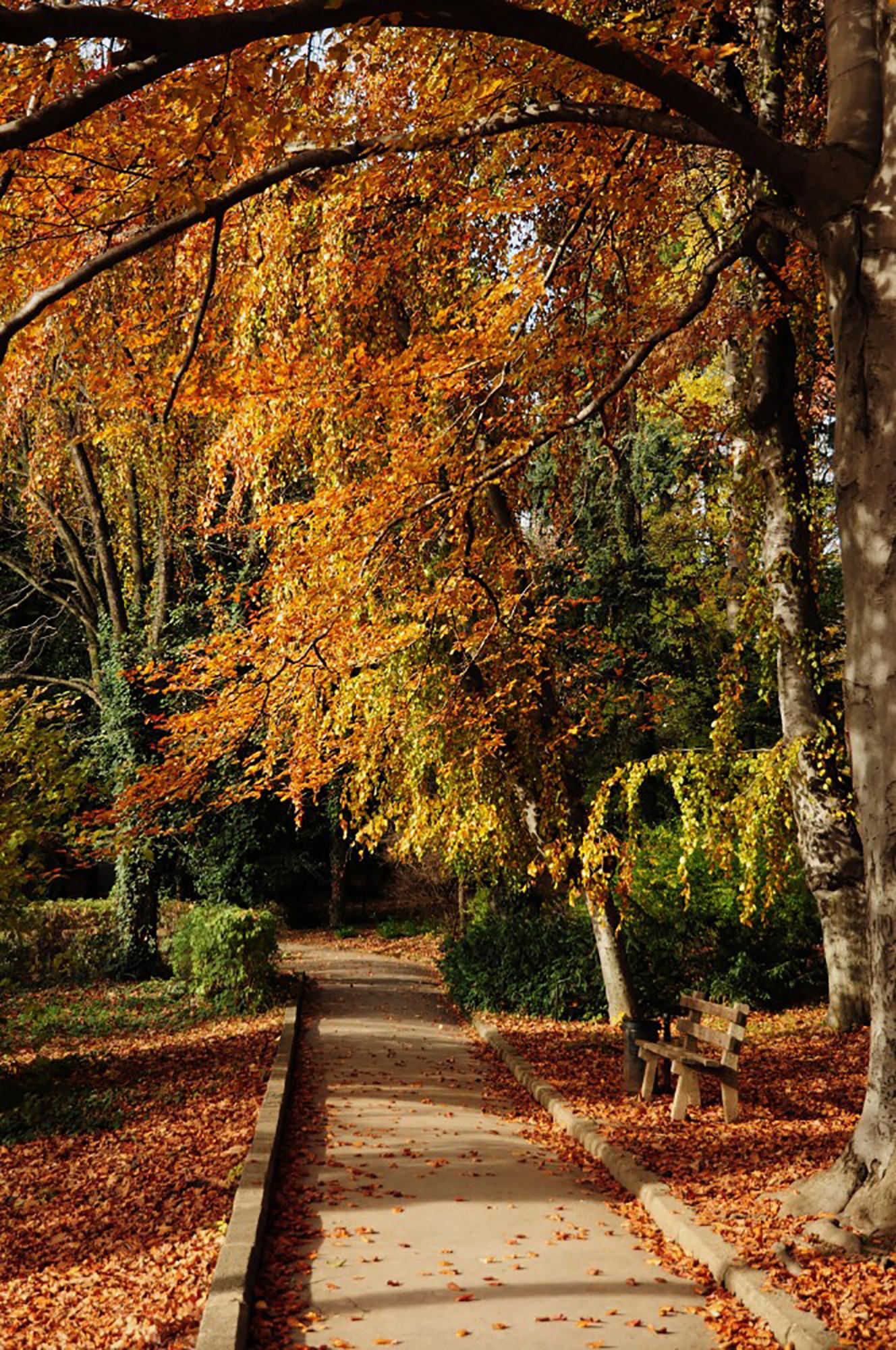 The Botanical Garden—with its exotic plants—has an atmosphere that captivates locals and visitors alike. – © Emilia Kumpfova