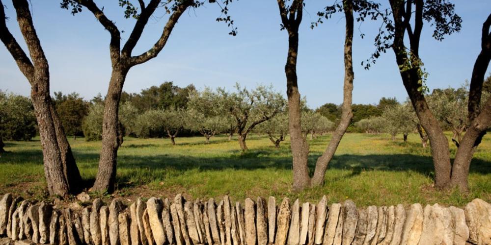 Mémoires de Garrigue, l'un des espaces naturels du Pont du Gard conçu par Véronique Mure. – © Y.de Fareins Mémoires de Garrigue, l'un des espaces naturels du Pont du Gard conçu par Véronique Mure. – © Y.de Fareins