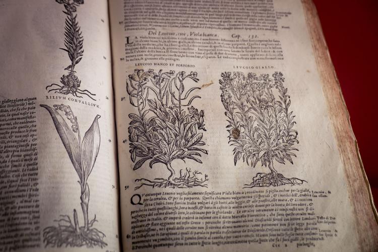 One of the antique recipes from an ancient book at Spezieria di Santa Fina. During our workshops we select remedies from these pages. – © Andrea Miserocchi / Italian Stories