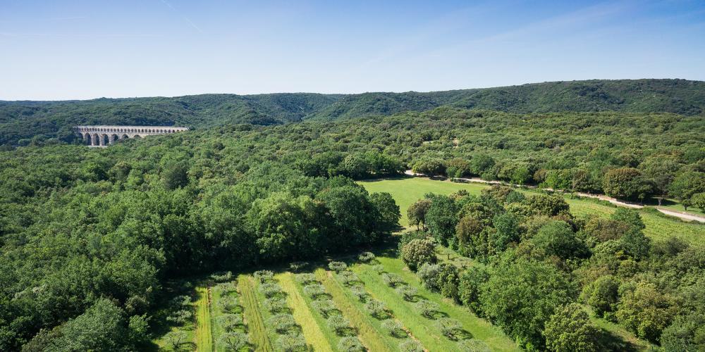"Memories of Garrigue" is a 1.4-kilometre marked trail enclosed by dry stone walls and filled with acres of vineyards, olive groves, wheat fields, and oak trees. It tells the story of a Mediterranean landscape shaped by man for more than 2,000 years. – © Aurelio Rodriguez "Memories of Garrigue" is a 1.4-kilometre marked trail enclosed by dry stone walls and filled with acres of vineyards, olive groves, wheat fields, and oak trees. It tells the story of a Mediterranean landscape shaped by man for more than 2,000 years. – © Aurelio Rodriguez