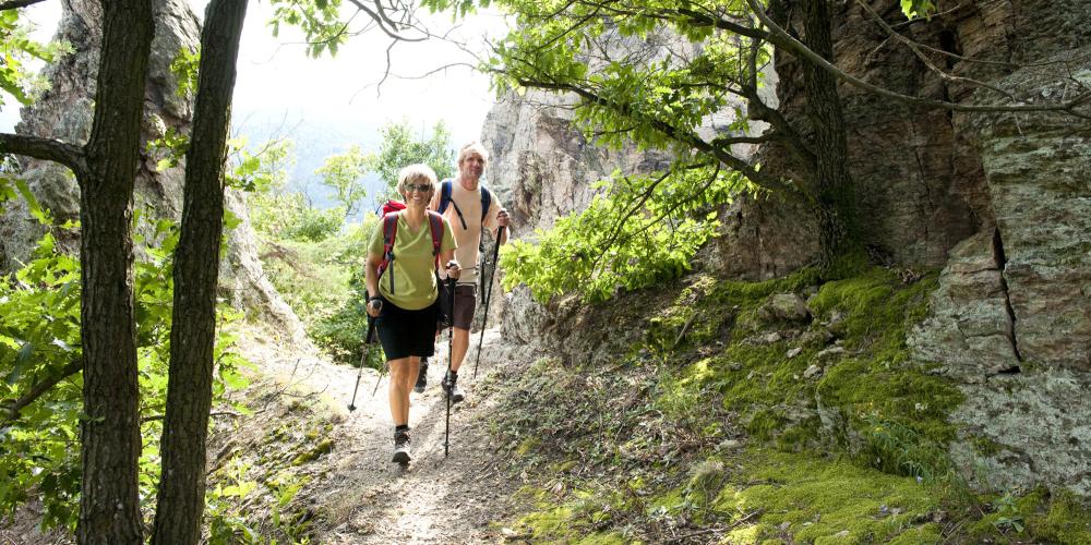 Vineyards, forests and grasslands promise not just a great diversity in landscapes, but also in flora and fauna. – © Robert Herbst / NÖ Werbung