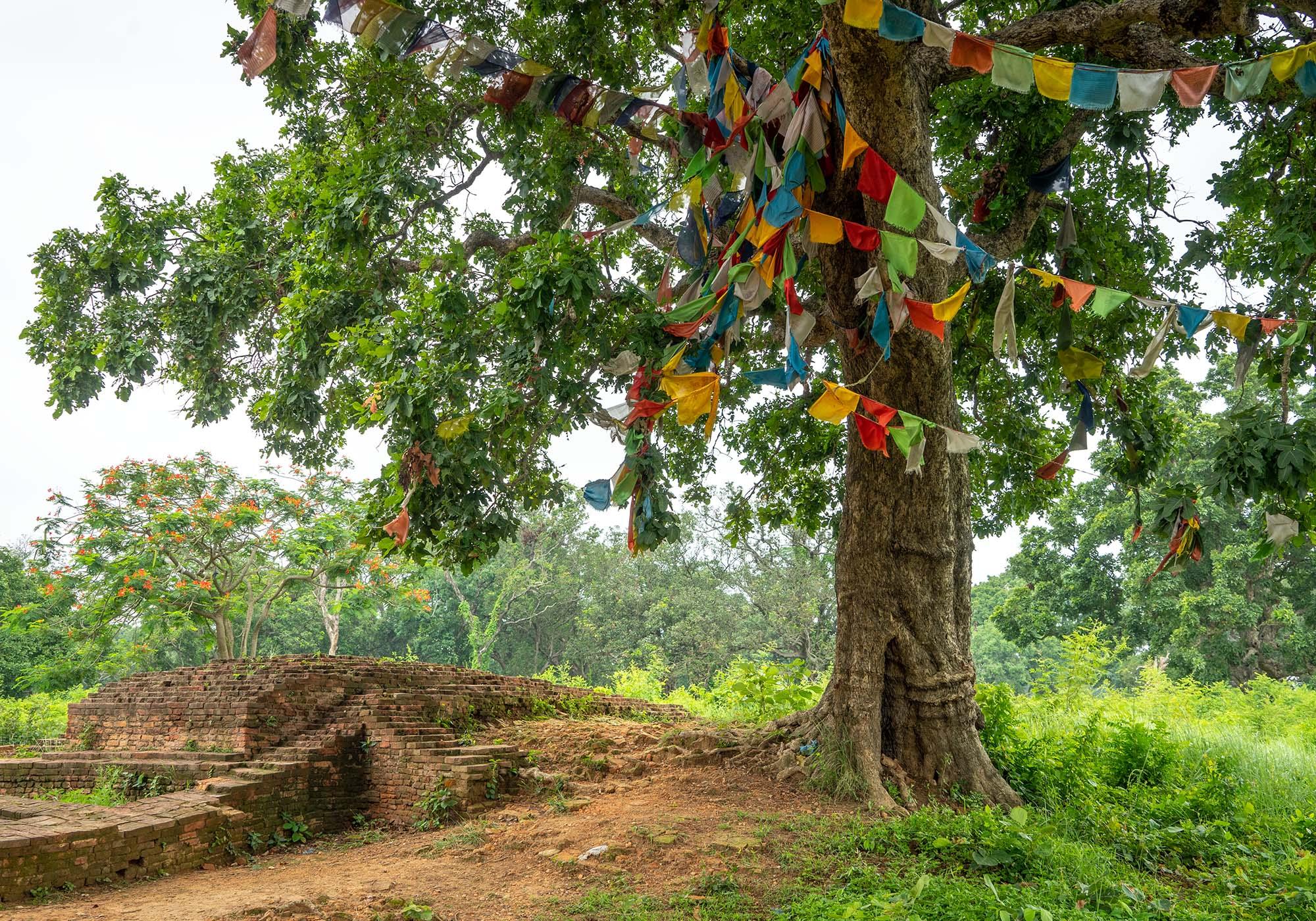 The archaeological site of the Ancient City of Kapilavastu, where Buddha spent his childhood and left at the age of 29 on his path to enlightenment. – © Michael Turtle