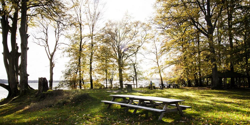 In the new national park, there are many places where you can camp or just enjoy a picnic in the astonishing landscape. – © Sune Magyar / Parforcejagtlandskabet i Nordsjælland