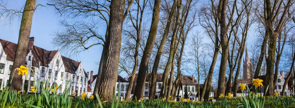 Spring in Bruges, at the Beguinage. – © Jan D'Hondt / VisitBruges
