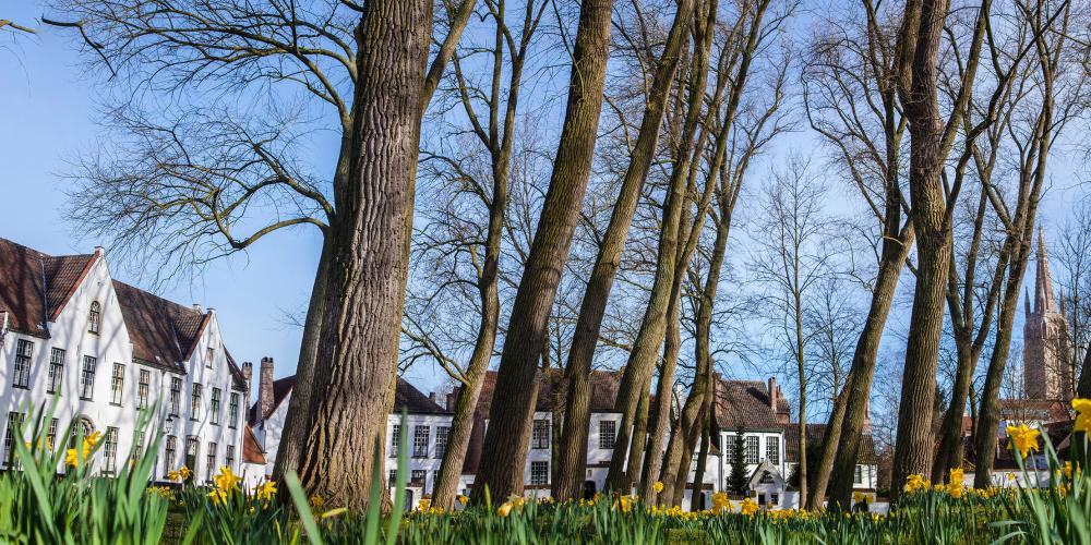 Spring in Bruges, at the Beguinage. – © Jan D'Hondt / VisitBruges Spring in Bruges, at the Beguinage. – © Jan D'Hondt / VisitBruges