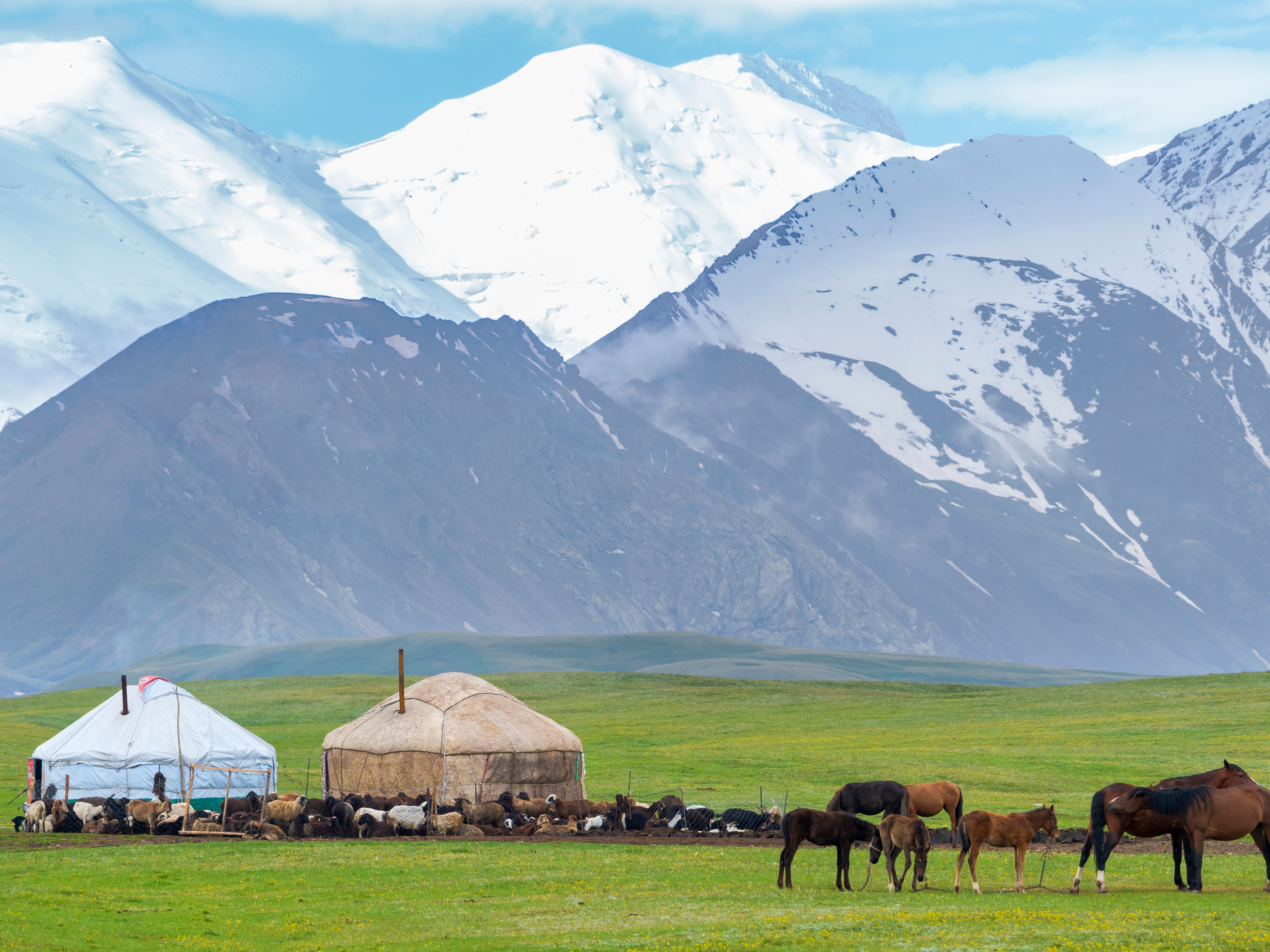The idyllic lifestyle of nomads in Kyrgyzstan - Photo credit: Danita Delimont