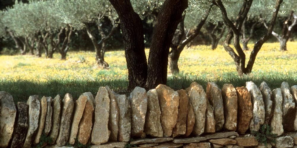 © Xavier Testelin et Pierre Bourdis / Etablissement Public Pont du Gard © Xavier Testelin et Pierre Bourdis / Etablissement Public Pont du Gard