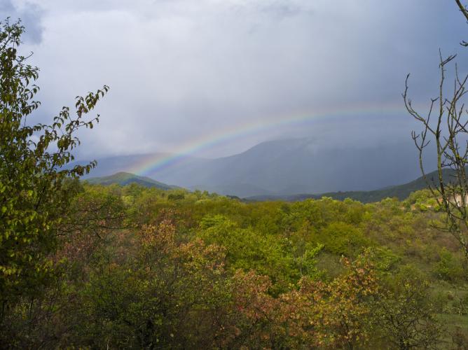 Forêt du Mont Parnon. – © H. Kakarouhas / VisitGreece