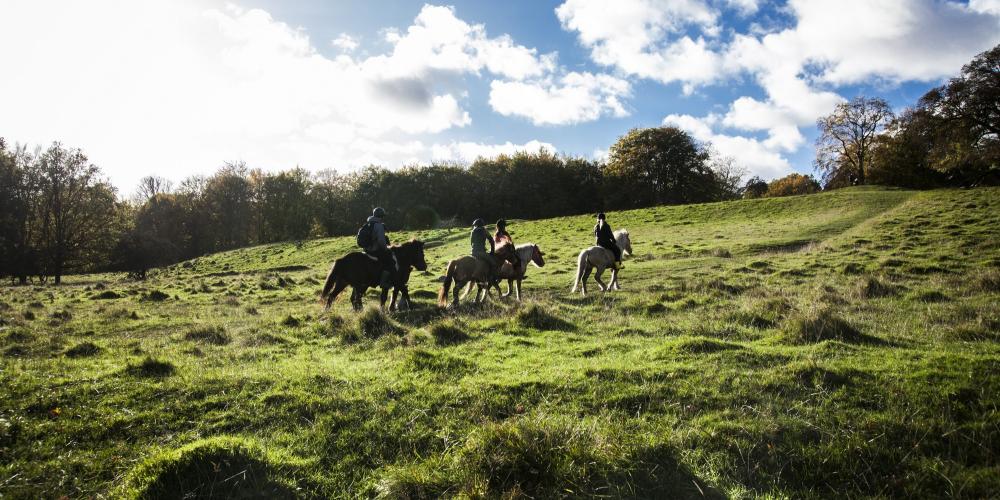 Les visiteurs profitent du paysage de la chasse "par force" pour marcher, courir, faire du vélo ou se promener à cheval à travers les forêts. – © Sune Magyar / Parforcejagtlandskabet i Nordsjælland