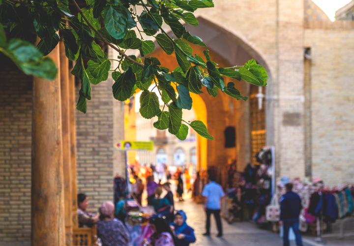 Dome market with locals and passersby in the old town of Bukhara with leaves in the foreground, Uzbekistan – © tache / Shutterstock