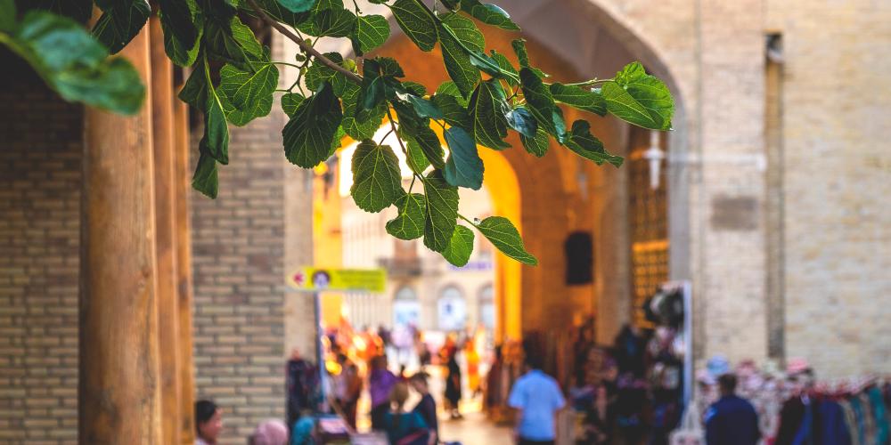 Dome market with locals and passersby in the old town of Bukhara with leaves in the foreground, Uzbekistan – © tache / Shutterstock Dome market with locals and passersby in the old town of Bukhara with leaves in the foreground, Uzbekistan – © tache / Shutterstock