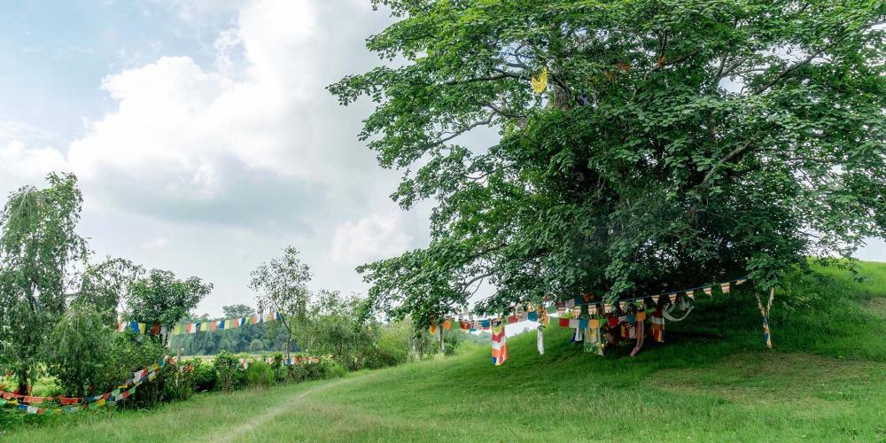 Ramagrama lies in the midst of bucolic farmland and is surrounded by wetlands. – © Michael Turtle Ramagrama lies in the midst of bucolic farmland and is surrounded by wetlands. – © Michael Turtle