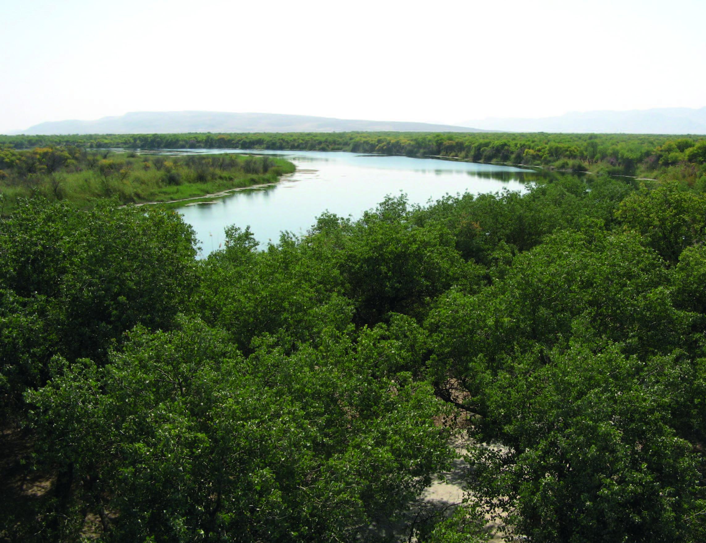 The old Khalka-Kul’ Lake framed by Asiatic poplar tugay vegetation – © A. Butorin