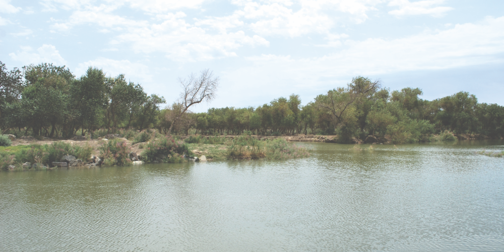 A body of water in the reserve, showing how the forest life is sustained – © Muhayyo Makhmudova