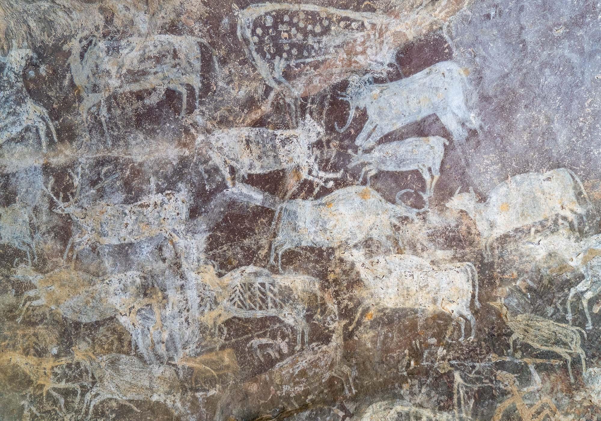 Representations of animals are common in the rock paintings, along with scenes of hunting or war. – © Michael Turtle