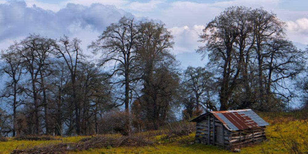A little cottage in the middle of Hyrcanian forests in north of Iran, This place had a wonderful view. – © Iman.Ebrahimi / Shutterstock
