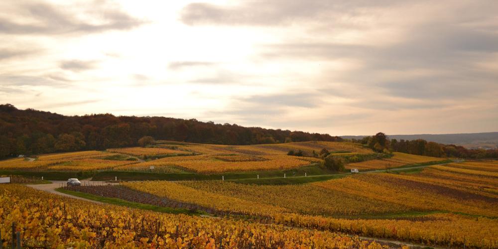 Les routes touristiques du Champagne, aux couleurs d'automne. – © E. Vidal / ADT collection Marne Les routes touristiques du Champagne, aux couleurs d'automne. – © E. Vidal / ADT collection Marne
