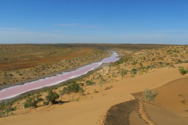 Ancient river Unguz in Bereketli Garagum, with the pink colour caused by high salt concentration – © A. Pavlenko