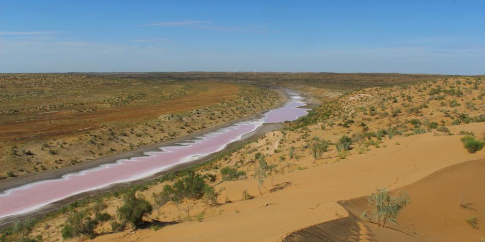 Ancient river Unguz in Bereketli Garagum, with the pink colour caused by high salt concentration – © A. Pavlenko Ancient river Unguz in Bereketli Garagum, with the pink colour caused by high salt concentration – © A. Pavlenko