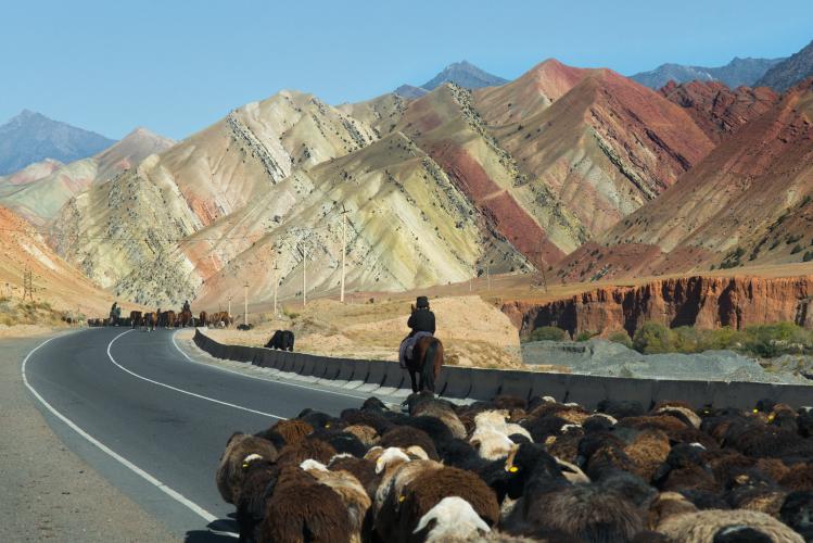 Local farmers used the Pamir Highway to move their livestock. – © Teow Cek Chuan / Shutterstock