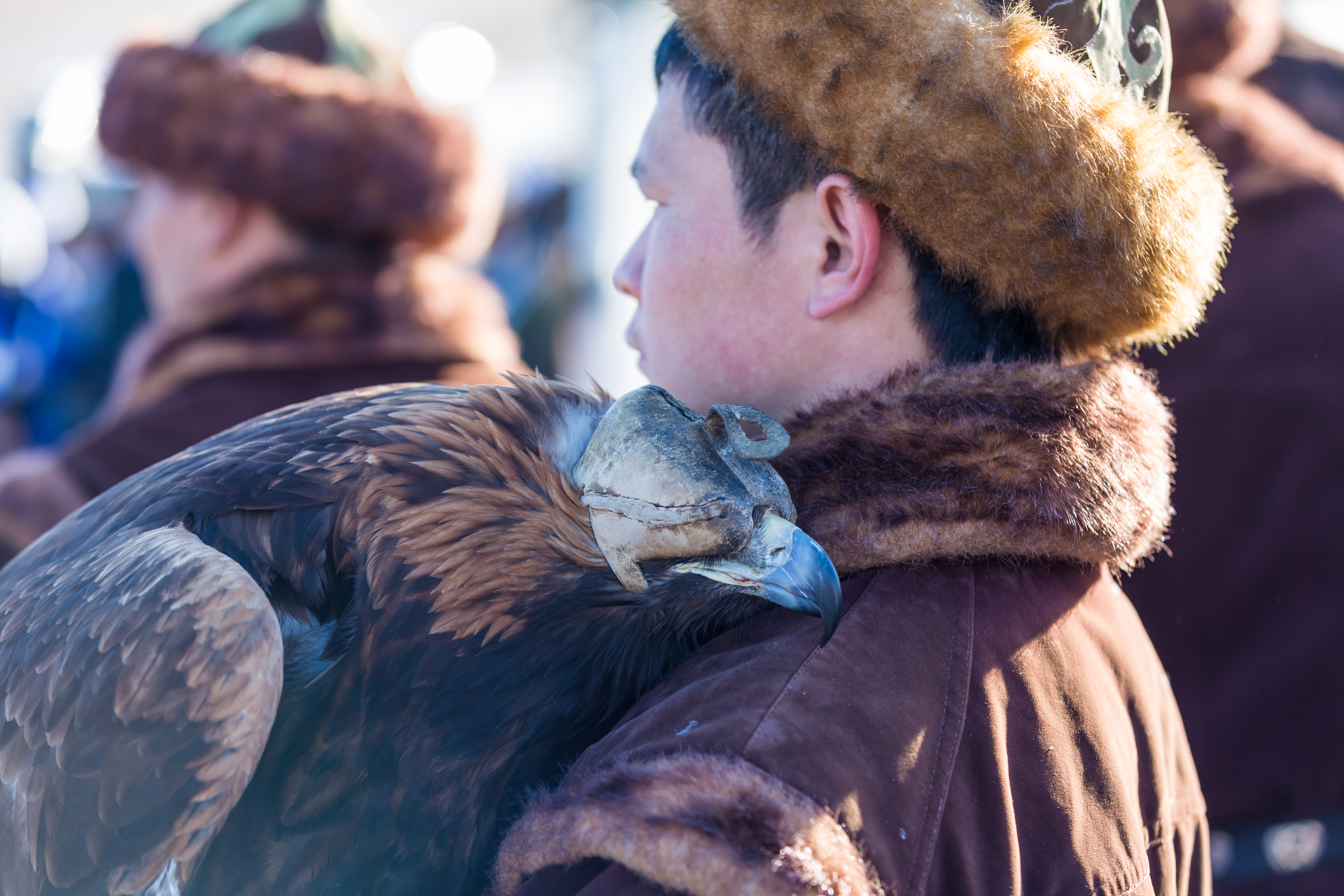 Golden Eagle being held by its handler – © Alexandr Vlassyuk / Shutterstock