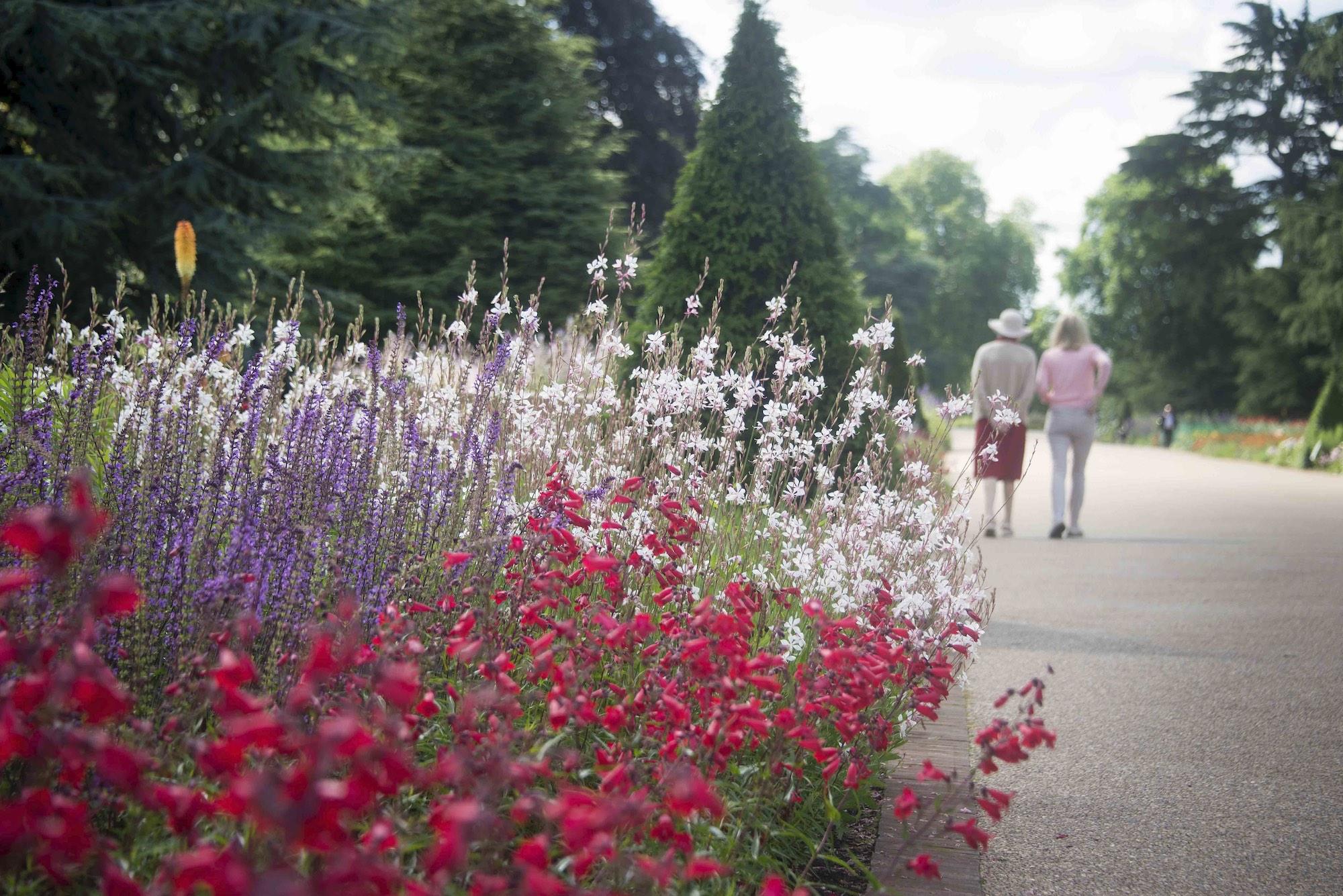 The longest double herbaceous border in the UK, the Great Broad Walk Borders feature 60,000 flowering plants. – © Jeff Eden