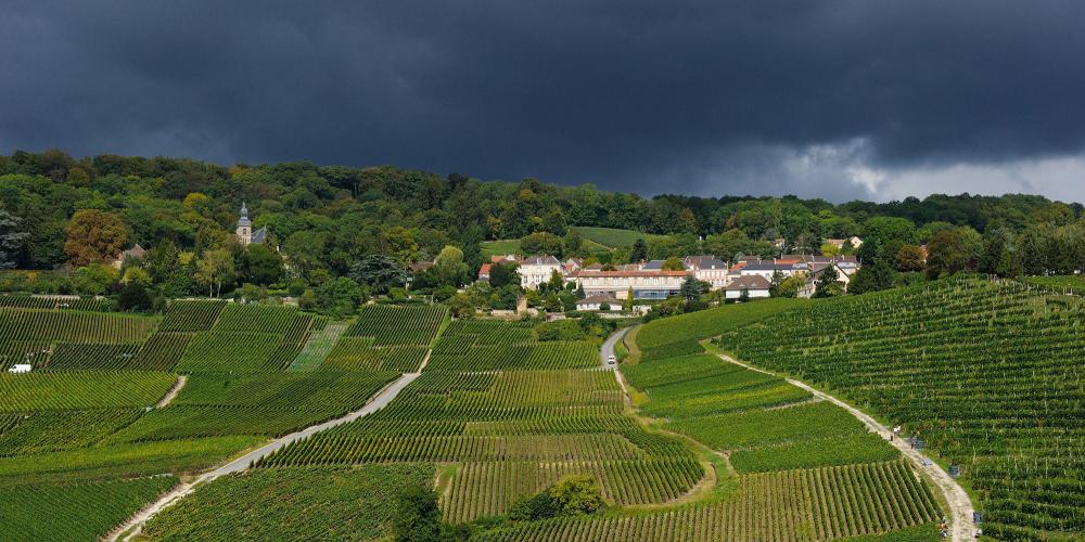 Amphitheatre vineyard of Hautvillers. – © Michel Jolyot