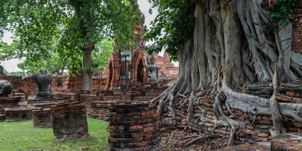 Many parts of the temple haven't been restored and trees have even grown within the bricks of some building remains. – © Michael Turtle