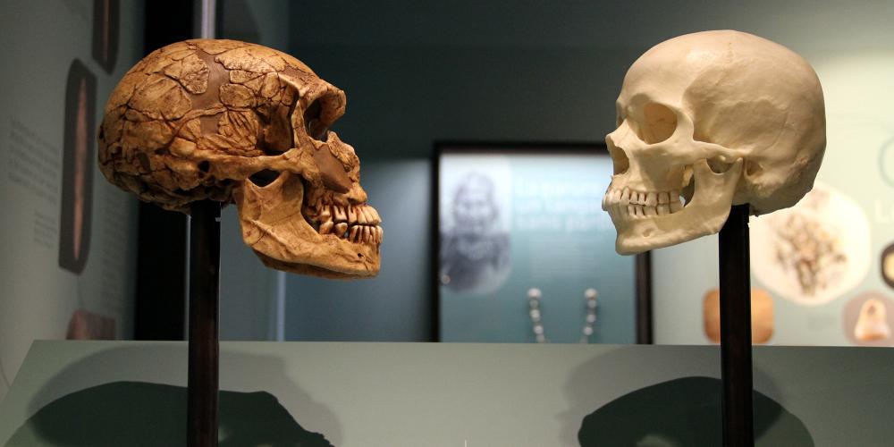 The Cité de la Préhistoire will bring you back to your roots by reliving 350,000 years of Prehistory. – © J. Pelaez The Cité de la Préhistoire will bring you back to your roots by reliving 350,000 years of Prehistory. – © J. Pelaez