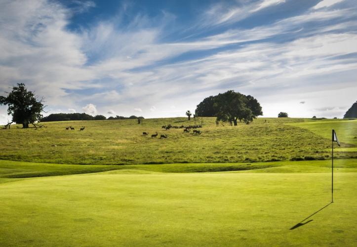 Play a game of golf while the red and fallow deer graze only a few feet away. – © Sune Magyar / Parforcejagtlandskabet i Nordsjælland