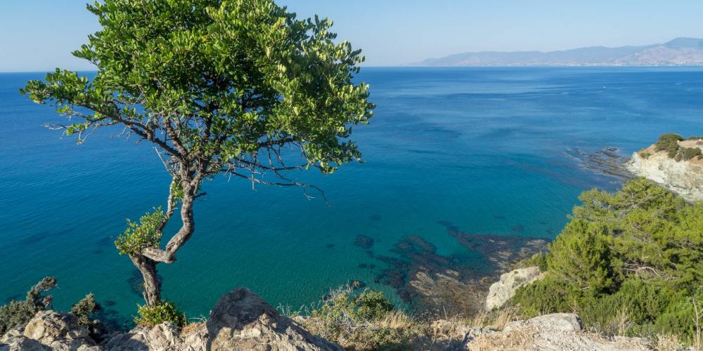 The ocean views along the trails are spectacular. – © Michael Turtle