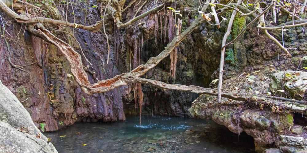 Baths of Aphrodite, the grotto, spring, and waterfall where bathers come to hope for romance. – © CTO Archive