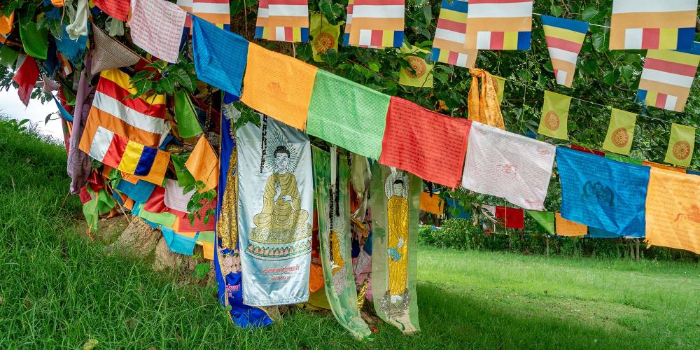 Prayer flags and other Buddhist iconography decorate the base of the large bodhi tree that grows from the mound of the Ramagrama Stupa. – © Michael Turtle