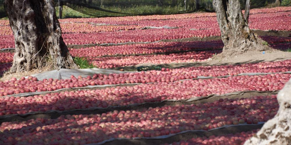 The festival is an opportunity to appreciate the natural and architectural beauties and cultural traditions – © Emma Taricco The festival is an opportunity to appreciate the natural and architectural beauties and cultural traditions – © Emma Taricco