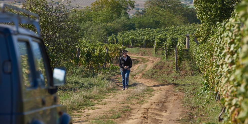 Berecz Stephanie was born in France, but during her university years, she fell in love with the Tokaj wine region. She has been living here with her husband since then and producing excellent wines. – © Gyorgy Darabos