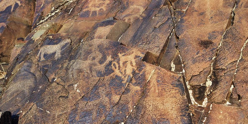 Petroglyphs depicting animals – © tamgaly@mail.ru